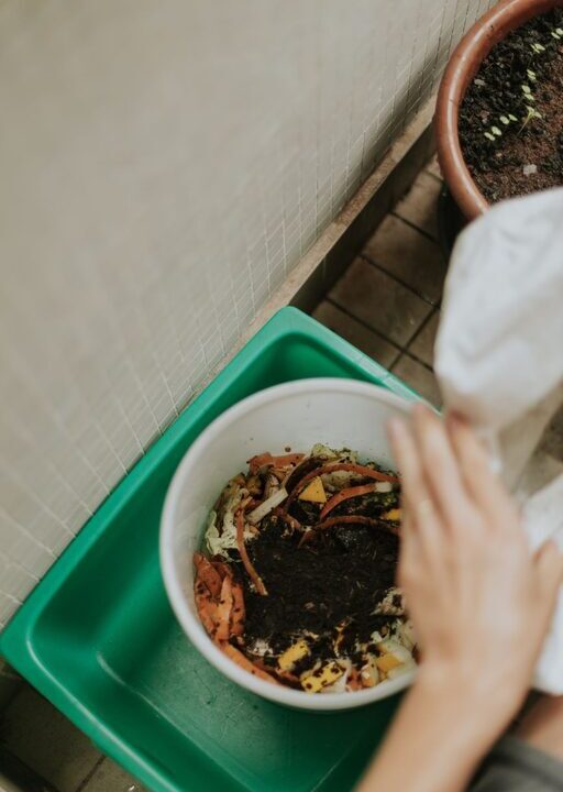 Beginner Tips for Composting at Home: Simple Steps to Get Started